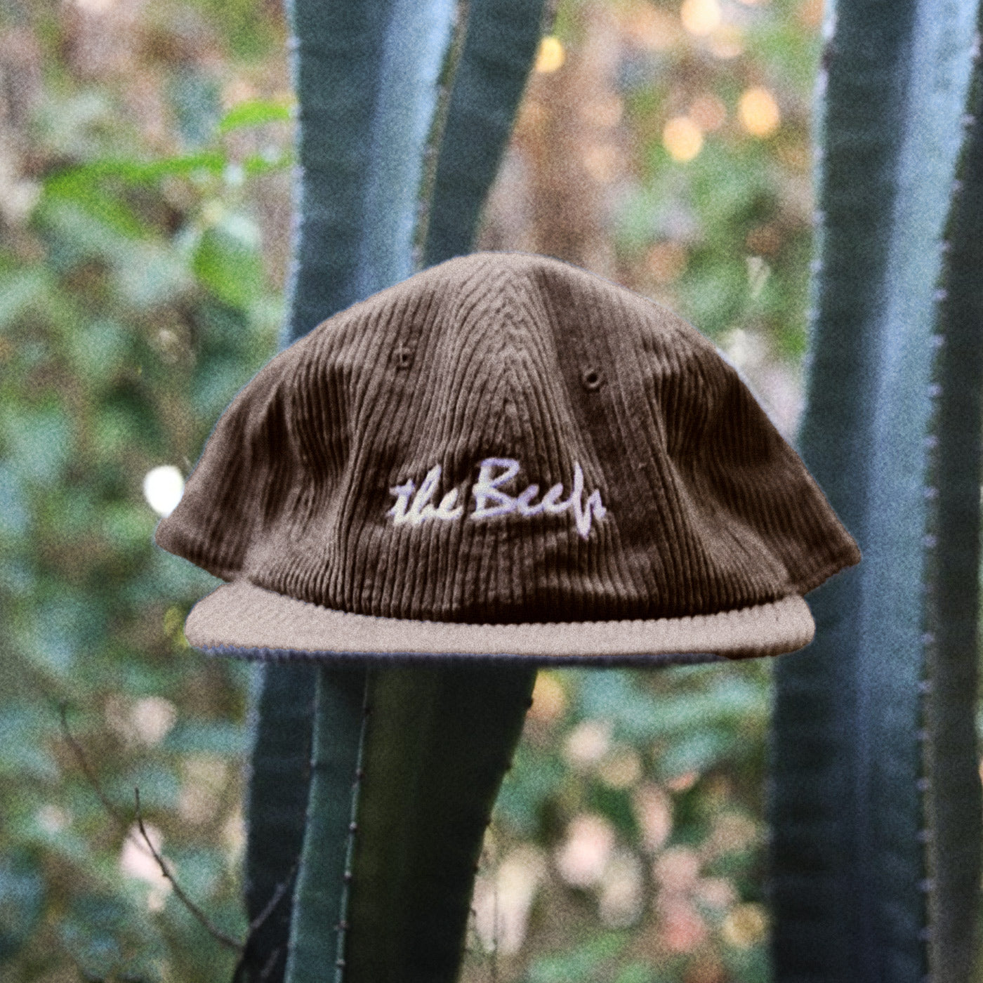 A brown cord cap photographed hanging on a cactus